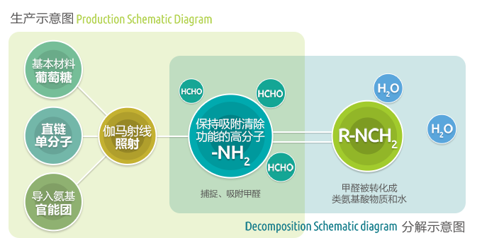 甲醛分解示意图